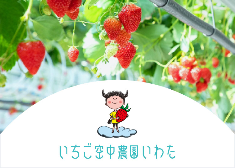 いちご空中農園いわた