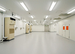 1階と2階の一部がつながった、光研究拠点棟の巨大なクリーンルーム。